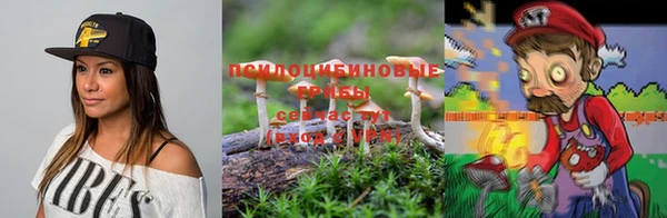 шишки Алексеевка