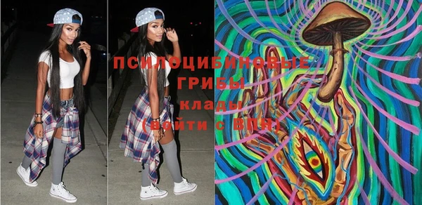 шишки Алексеевка