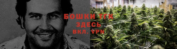 шишки Алексеевка