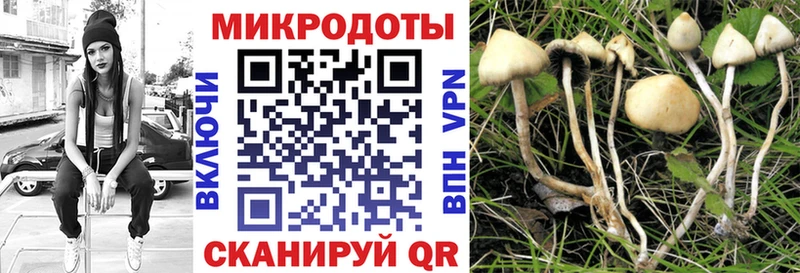 Галлюциногенные грибы ЛСД  Железноводск 