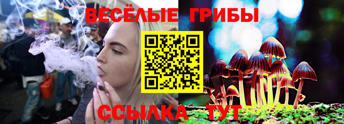 Галлюциногенные грибы мухоморы  Псилоцибиновые грибы GOLDEN TEACHER  Вход с VPN  Железноводск 